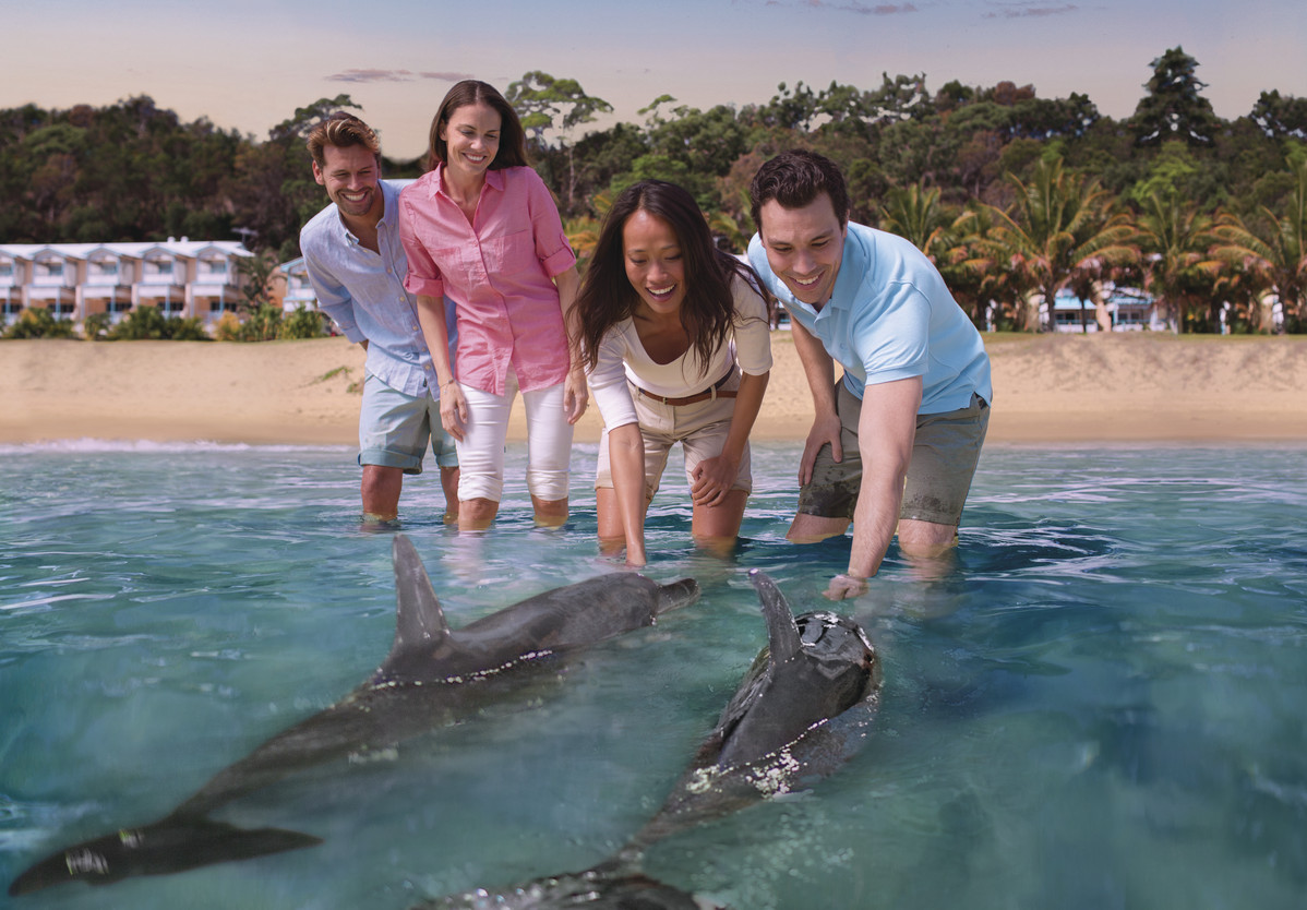 Get close to the dolphins on Moreton Island!