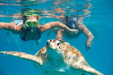 {tour-faq limit='1'}Do I have to be able to swim to go on a Great Barrier Reef Tour? — Jarad Higgins{/faq-images}
